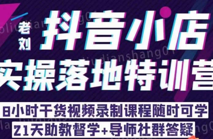 老刘·抖店商品卡流量，​抖音小店实操落地特训营，8小时干货视频录制课程随时可学-赚金金-技能学习分享