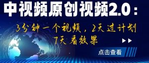 中视频原创视频2.0：3分钟一个视频，2天过计划，7天看效果【揭秘】-赚金金-技能学习分享