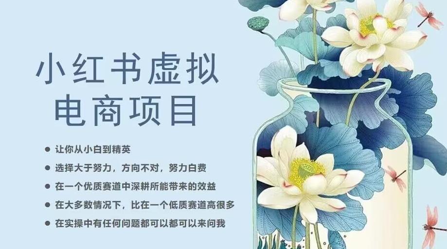 小红书虚拟电商从0到1，让你从小白到精英（20节实操课程）-赚金金-技能学习分享