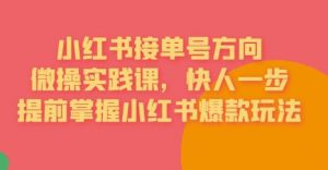 接单号方向·小红书微操实践课,快人一步,提前掌握小红书爆款玩法-赚金金-技能学习分享