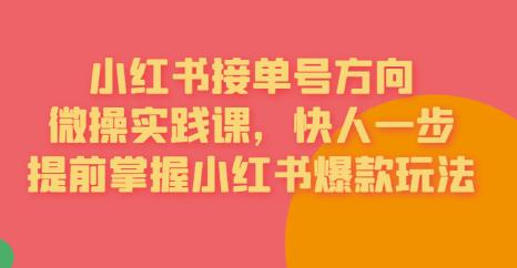 接单号方向·小红书微操实践课，快人一步，提前掌握小红书爆款玩法-赚金金-技能学习分享