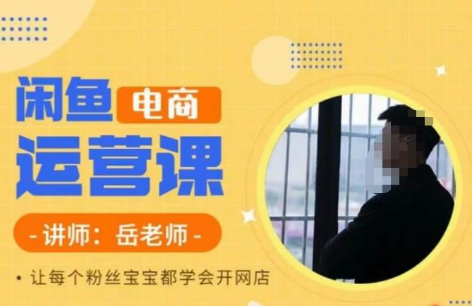 岳老师·闲鱼电商运营课，让每个粉丝宝宝都学会开网店-赚金金-技能学习分享