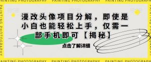 漫改头像项目分解,即使是小白也能轻松上手,仅需一部手机即可【揭秘】-赚金金-技能学习分享