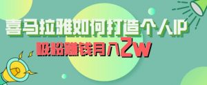 喜马拉雅如何打造个人IP,吸粉赚钱月入2W【揭秘】-赚金金-技能学习分享