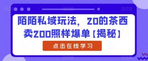 陌陌私域玩法,20的茶西卖200照样爆单【揭秘】-赚金金-技能学习分享