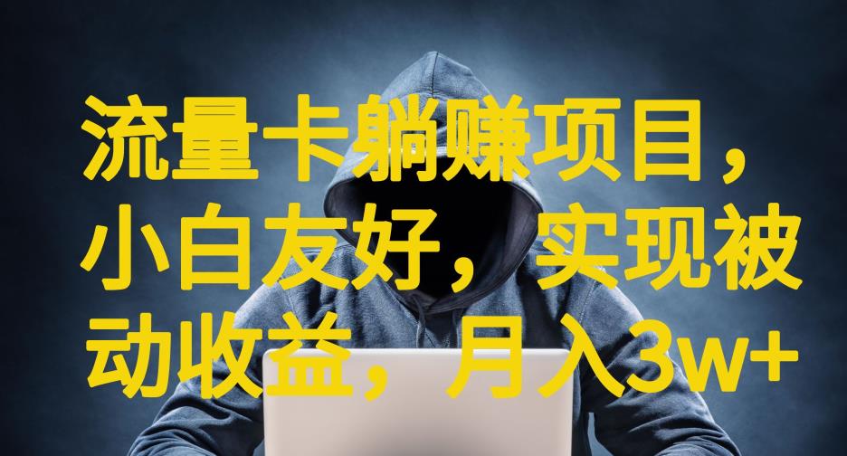 流量卡躺赚项目，小白友好，开设后台，实现被动收益，只要出卡，就能一直赚钱，利润高昂【揭秘】-赚金金-技能学习分享