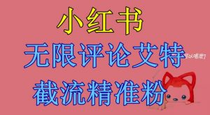 小红书无限评论艾特截流精准粉(软件+教程)-赚金金-技能学习分享