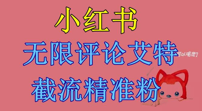 小红书无限评论艾特截流精准粉（软件+教程）-赚金金-技能学习分享