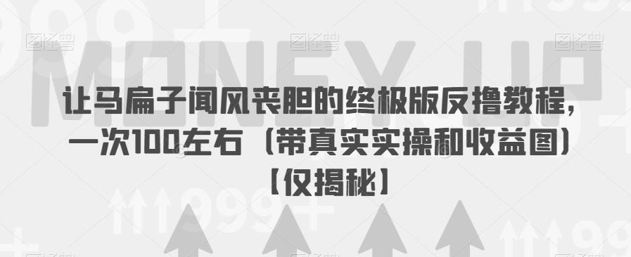 让马扁子闻风丧胆的终极版反撸教程，一次100左右（带真实实操和收益图）【仅揭秘】-赚金金-技能学习分享