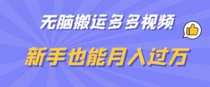 无脑搬运多多视频,新手也能月入过万【揭秘】-赚金金-技能学习分享