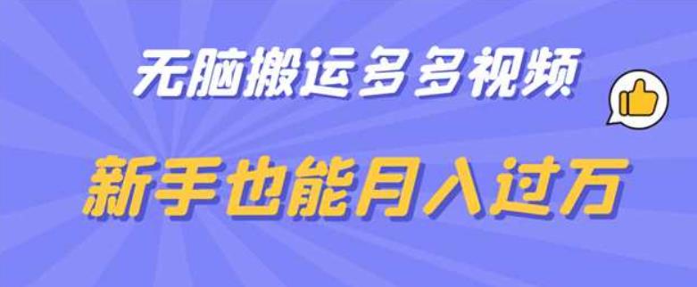 无脑搬运多多视频，新手也能月入过万【揭秘】-赚金金-技能学习分享
