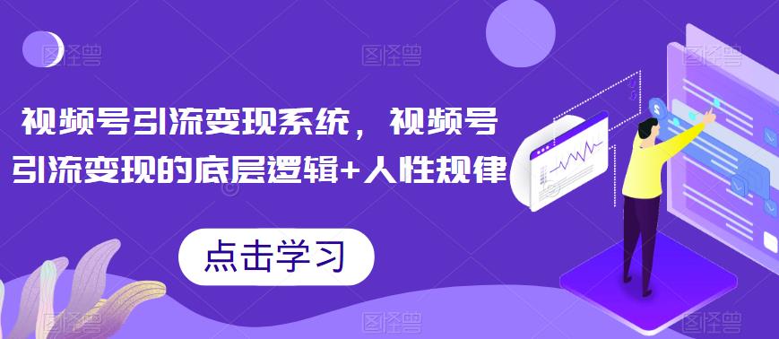 视频号引流变现系统，视频号引流变现的底层逻辑+人性规律-赚金金-技能学习分享