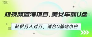 短视频蓝海项目,美女车载U盘,轻松月入过万,适合0基础小白【揭秘】-赚金金-技能学习分享