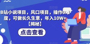 B站小说项目,风口项目,操作0难度,可做长久生意,年入10W+【揭秘】-赚金金-技能学习分享