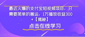 最近火爆的支付宝短视频项目,只需要简单的搬运,1万播放收益300+【揭秘】-赚金金-技能学习分享