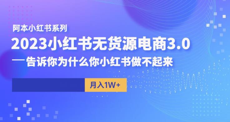阿本小红书无货源电商3.0，告诉你为什么你小红书做不起来-赚金金-技能学习分享