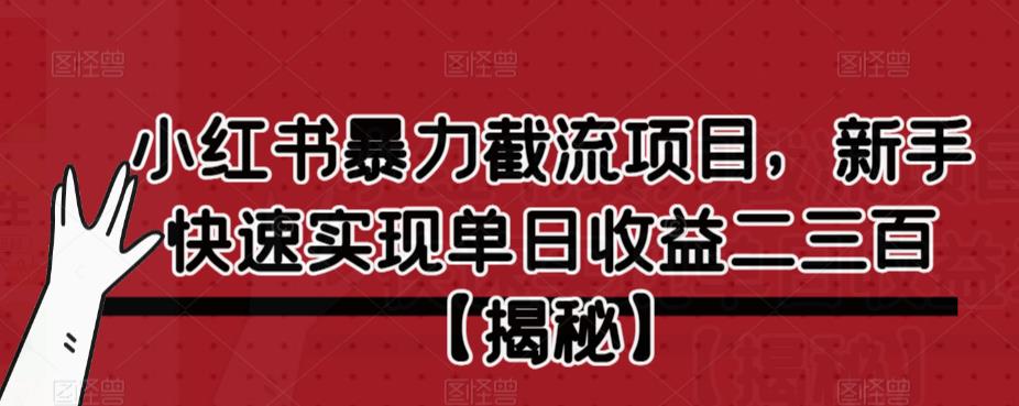 小红书暴力截流项目，新手快速实现单日收益二三百【仅揭秘】-赚金金-技能学习分享