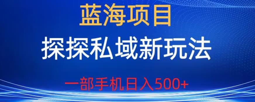 蓝海项目，探探私域新玩法，一部手机日入500+很轻松【揭秘】-赚金金-技能学习分享