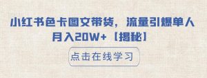 小红书色卡图文带货,流量引爆单人月入20W+【揭秘】-赚金金-技能学习分享