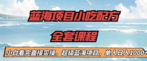 蓝海项目小吃配方全套课程,小白看完直接实操,单人日入1000+【揭秘】-赚金金-技能学习分享