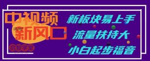 中视频新风口,新板块易上手,流量扶持大,小白起步福音【揭秘】-赚金金-技能学习分享