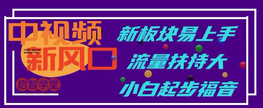 中视频新风口，新板块易上手，流量扶持大，小白起步福音【揭秘】-赚金金-技能学习分享