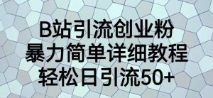 B站引流创业粉,暴力简单详细教程,轻松日引流50+【揭秘】-赚金金-技能学习分享
