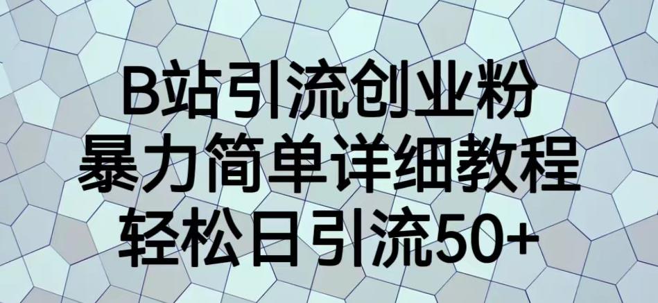 B站引流创业粉，暴力简单详细教程，轻松日引流50+【揭秘】-赚金金-技能学习分享
