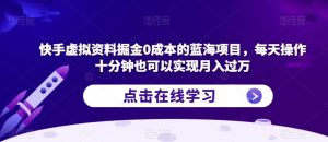 快手虚拟资料掘金0成本的蓝海项目,每天操作十分钟也可以实现月入过万【揭秘】-赚金金-技能学习分享