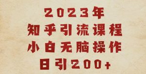 2023知乎引流课程,小白无脑操作日引200+【揭秘】-赚金金-技能学习分享