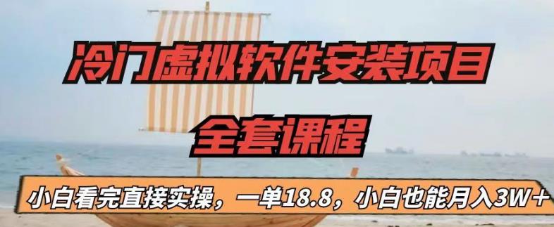 冷门虚拟软件安装项目，一单18.8，小白也能月入3W＋【揭秘】-赚金金-技能学习分享