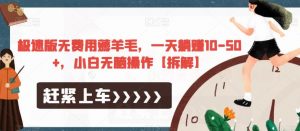 极速版无费用薅羊毛,一天躺赚10-50+,小白无脑操作【拆解】-赚金金-技能学习分享