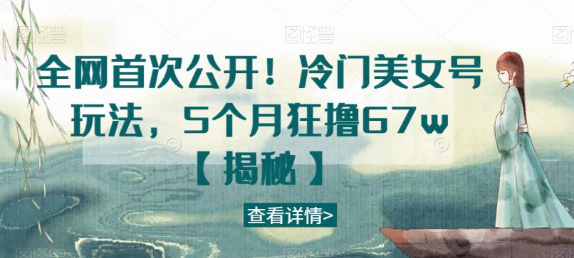 全网首次公开！冷门美女号玩法，5个月狂撸67w【揭秘】-赚金金-技能学习分享