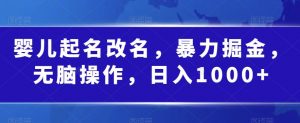 婴儿起名改名,暴力掘金,无脑操作,日入1000+【揭秘】-赚金金-技能学习分享