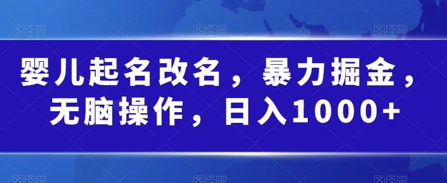 婴儿起名改名，暴力掘金，无脑操作，日入1000+【揭秘】-赚金金-技能学习分享