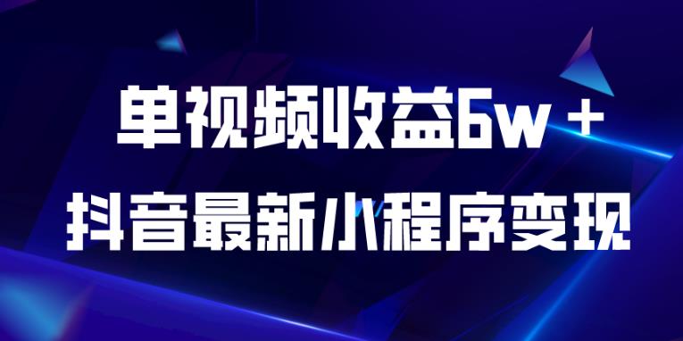 抖音最新小程序变现项目，单视频收益6w＋，小白可做【揭秘】-赚金金-技能学习分享
