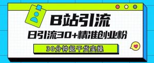B站引流日引流30+精准创业粉,超详细B站引流创业粉玩法【揭秘】-赚金金-技能学习分享