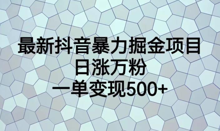 最新抖音暴力掘金项目，日涨万粉，一单变现500+【揭秘】-赚金金-技能学习分享
