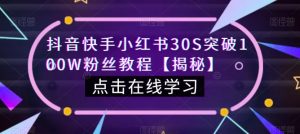 抖音快手小红书30S突破100W粉丝教程【揭秘】-赚金金-技能学习分享