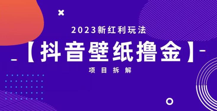 抖音壁纸小程序创作者撸金项目，2023新红利玩法【项目拆解】-赚金金-技能学习分享