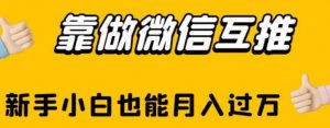 靠做微信互推,新手小白也能月入过万【揭秘】-赚金金-技能学习分享
