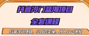 外面收费1288的抖音冷门蓝海项目,新手也可批量操作,月入1W+【揭秘】-赚金金-技能学习分享