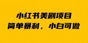 外面卖1980的小红书美剧项目,单日收益1000+,小众暴利的赛道【揭秘】-赚金金-技能学习分享