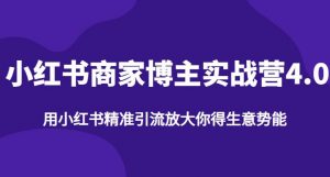 【推荐】小红书商家博主精准引流实战营4.0,用小红书放大你的生意势能-赚金金-技能学习分享