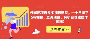 纯搬运项目多多视频带货,一个月搞了5w佣金,蓝海项目,纯小白也能操作【揭秘】-赚金金-技能学习分享