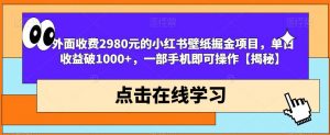 外面收费2980元的小红书壁纸掘金项目,单日收益破1000+,一部手机即可操作【揭秘】-赚金金-技能学习分享