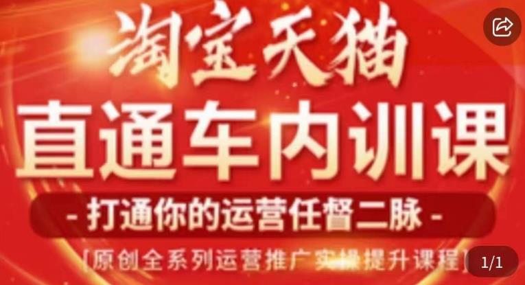 天问电商·2023淘宝天猫直通车内训课，零基础学起直通车运营实操课程-赚金金-技能学习分享
