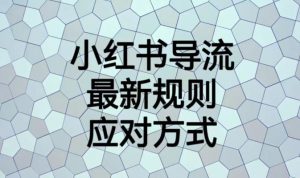 小红书导流最新规则应对方式【揭秘】-赚金金-技能学习分享