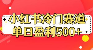 小红书冷门赛道,单日盈利500+【揭秘】-赚金金-技能学习分享