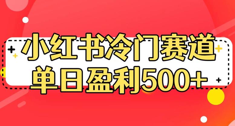 小红书冷门赛道，单日盈利500+【揭秘】-赚金金-技能学习分享